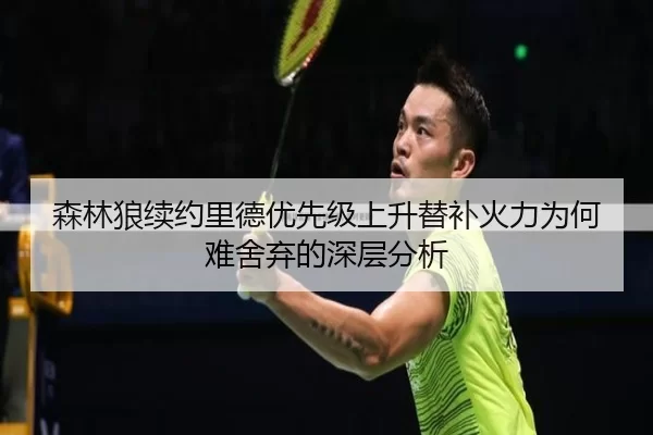 森林狼续约里德优先级上升替补火力为何难舍弃的深层分析